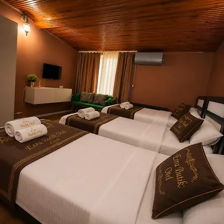 Séjour chez l'habitant Esrabutikotel Istambul